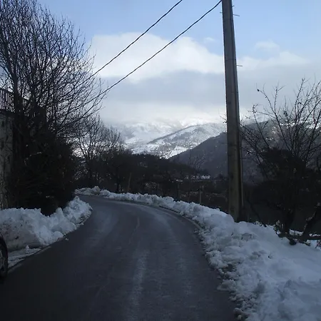 Terralta