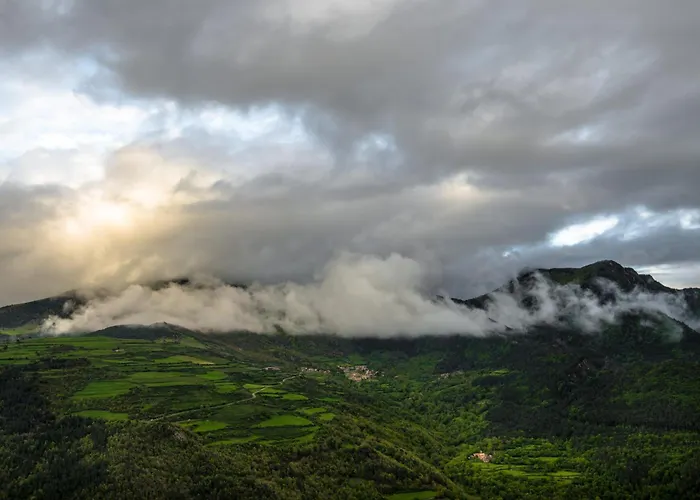 Terralta