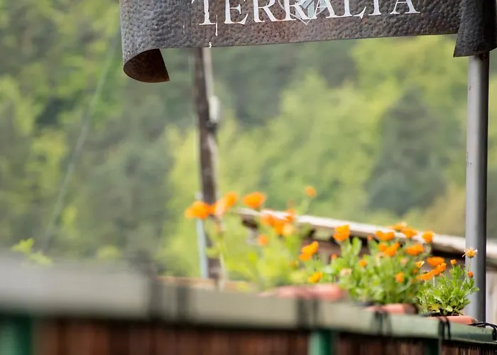 Hotel Terralta 2*