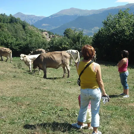 Terralta Hotel 2*