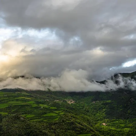 Terralta